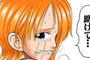 【ONEPIECE -ワンピース】ナミ「ルフィ……助けて」ルフィ「当たり前だぁ！」←これｗｗｗｗｗｗｗｗｗｗ