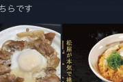 松屋「コレが私たちの本気の親子丼だ！！」