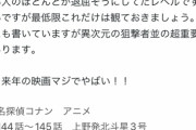 【悲報】コナン最新作、メイン層の「何となく見に来てる」人達を切り捨ててしまうｗｗｗｗ