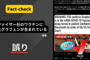 光の戦士　V.S　DS決戦　～　立憲・原口議員、日本ファクトチェックセンターに取材を申し込まれる