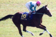 【メジロドーベルは偉大ｗ】吉田豊　馬群さばけない、追えない、位置取れない　でも馬質良いですｗｗｗｗｗ
