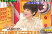 【悲報】楠田枝里子さん･････