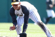 阪神ドラ6中野　7年半ぶり甲子園は「雰囲気違った。慣れていかないと」、オープン戦で予行演習