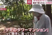 「サギのタワーマンション」 住宅街のど真ん中に……住民困惑