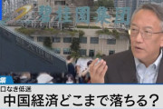 楽韓さん、本日の動向 - この中国経済の現況は分かりやすい