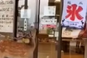 自動ドアを器用に開け、お辞儀をして食べ物を要求する鹿が海外で話題に　