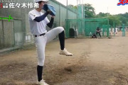【動画】佐々木朗希の弟、ストレートのキレがすごすぎる