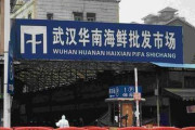 武漢華南海鮮卸売市場で大規模殺処分を実施…中国メディア！