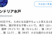 Twitter女さん「今日コンビニで奥さんが旦那を完全論破して拍手喝采！！」