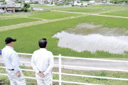 【コメ】シカによる水稲食害、長野県松本市中山で深刻…広域的な対策急務に