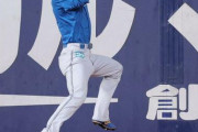 日本ハムファイターズの最終回の代打wwwwwwww