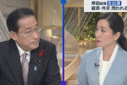 岸田総理「Go Toトラベルの年内再開無理かも」