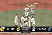 阪神2年ぶりの開幕3連勝！原口が代打弾　才木7回途中1失点8奪三振で今季初勝利