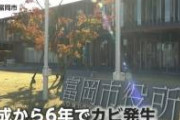 【公開処刑】木材の腐敗で細菌話題の隈研吾さんちｗｗｗｗｗｗｗｗｗｗ