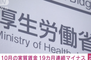 【悲報】実質賃金、19カ月連続でマイナスを記録。ありがとう自民党