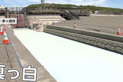 神奈川・茅ヶ崎市「手を触れないで」夏の海辺に異変…突然水路が真っ白に　市の簡易調査で有害物質確認されずも注意呼びかけ　7/11