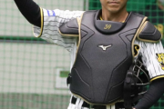 【阪神】長坂　登録抹消で2年ぶり捕手2人態勢、井上ヘッド「代打のパーツを増やした方がいい」