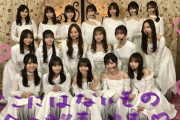 【乃木坂46】このメンバーの集合写真、後何回見れるのかな‥