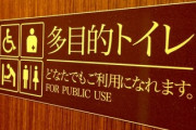 ただ一人の女性として暮らしたいけど警察沙汰になりかねないからできるだけ多目的トイレへ　トランスジェンダーの願い「私たちは特権がほしいわけではない」