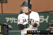 丸 053(19-1)0本塁打1打点