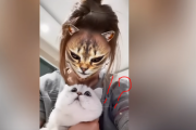 「飼い主の顔がネコに化ける！？」最新アプリに驚愕するネコたちｗ  海外の反応