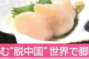 日本産ホタテが世界から称賛されパヨクブチギレwwwwwwwwwwwww