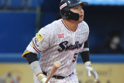 【交流戦】ワイハムファン、神宮の塩見村上山田が怖すぎる