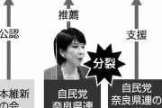 自民党幹部、高市早苗に不快感「調整を怠った自身の責任を棚に上げて、党本部に責任を転嫁するな」