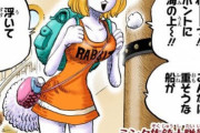 ワンピースのキャロット←こいつの思い出