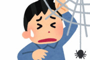ものすごい鼻くそが取れたから、クモの巣に置いたらすげー勢いで、クモが来て巣から外されて傷ついたんだけど