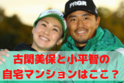 古閑美保と小平智の自宅タワーマンションはここ？住所や間取り、価格についても