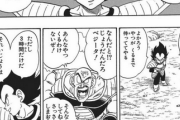 ベジータ「3時間だけ待ってやる」 ワイ(だけ……？)
