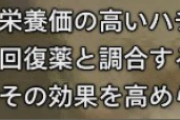 【モンハンワイルズ】ハチミツや麻酔玉が足りないんだがどうすれば良い？【MHWilds】