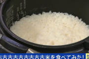 【速報】10年前の2015年産「古古古古古古古古古米」を食べてみた結果