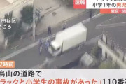 【悲報】公園から飛び出してきた小学生、トラックに轢かれて意識不明の重体・・・