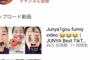 【悲報】ヒカキンさん、YouTube開始1年の男に抜き去られる