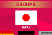【悲報】日本代表、よく見たらスペインドイツとかなり差があるｗｗｗｗｗｗｗ