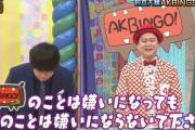村本のいないAKBINGO！NEOを何かに例えるスレ