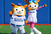 ベイスターズファンって他県でも地味に増えたよな？