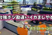 【スプラトゥーン2】高台が強ポジだと勘違いしているイカが多すぎて嫌になる件