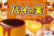 パイの実に新作「特製カラメルプリン」が4月20日より登場！美味そおおおおお