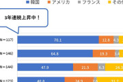 【画像】韓国さん、日本の若者から白人コンプを消滅させることに成功w