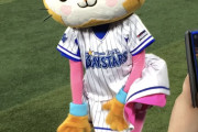 【画像】かわいいプロ野球マスコット(♀)たち！