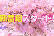 櫻坂46、冠番組のタイトルを予想する！