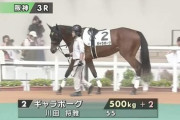 阪神JF抽選対象馬からイヌボウノウタゴエとギャラボーグ2頭が抽選突破