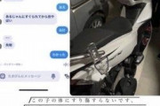 【沖縄500人DQN警察署包囲】警棒警官「おい止まれ」失明少年「停止は求められてない」【警官はボディカメラを】