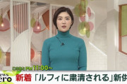 【画像】日テレの岩本乃蒼アナ、形をハッキリさせてしまう