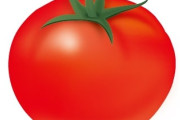 【悲報画像】トマト、高級フルーツになってしまうwww