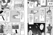 【素麺】なんだよこの漫画ｗｗｗ【注意】