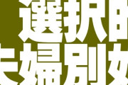 【結婚】選択的夫婦別姓になったとして困ることあるの？w